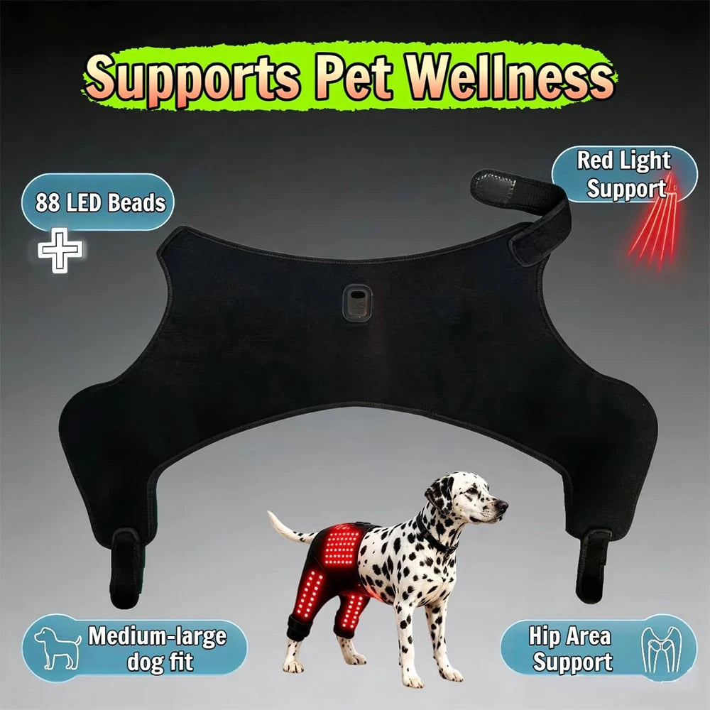 Pet Red Light Recovery Device Promote Circulation Relieve Discomfort Infrared Light Knee Brace Led 660nm 850nm for Dogs Cats
