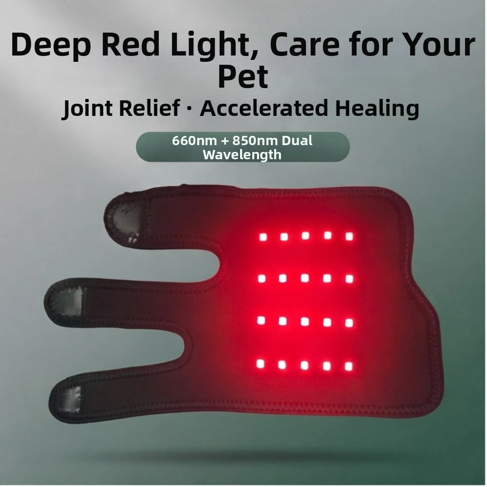 Automatic Timing Pet Red Light Recovery Device Promote Circulation Relieve Discomfort Dog Infrared Light Knee Brace Comfortable