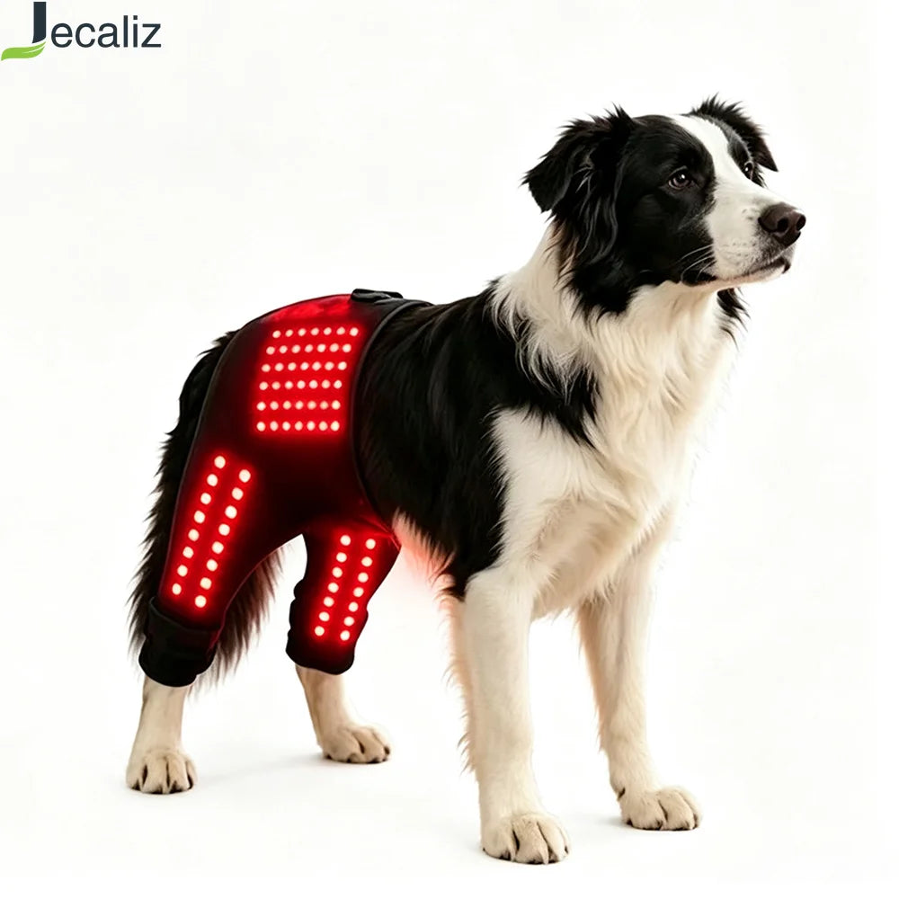 Pet Red Light Recovery Device Promote Circulation Relieve Discomfort Infrared Light Knee Brace Led 660nm 850nm for Dogs Cats