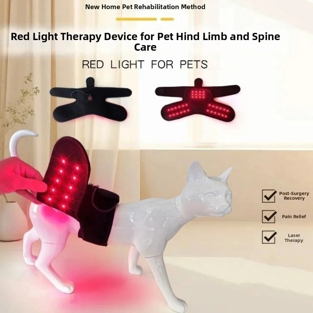 Automatic Timing Pet Red Light Recovery Device Promote Circulation Relieve Discomfort Dog Infrared Light Knee Brace Comfortable