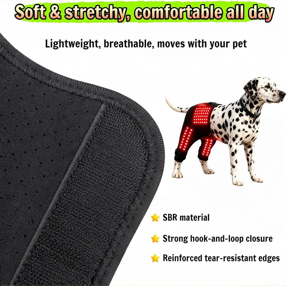 Pet Red Light Recovery Device Promote Circulation Relieve Discomfort Infrared Light Knee Brace Led 660nm 850nm for Dogs Cats