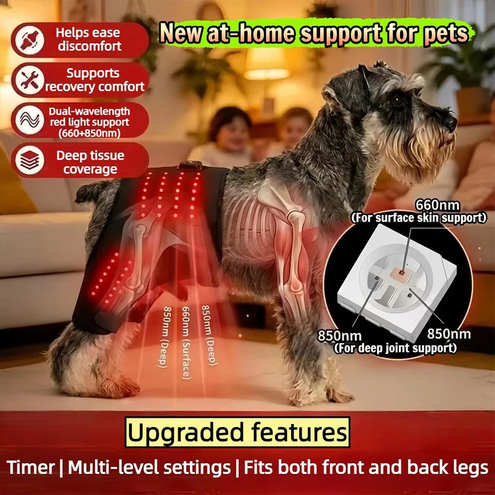 Pet Red Light Recovery Device Promote Circulation Relieve Discomfort Infrared Light Knee Brace Led 660nm 850nm for Dogs Cats