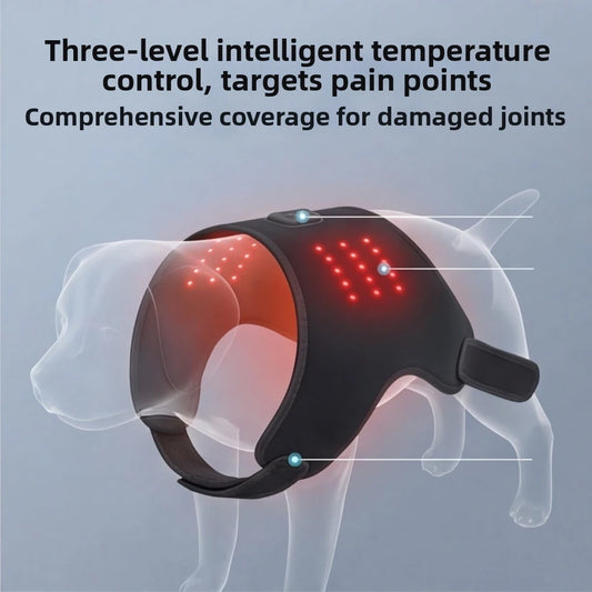 Automatic Timing Pet Red Light Recovery Device Promote Circulation Relieve Discomfort Dog Infrared Light Knee Brace Comfortable