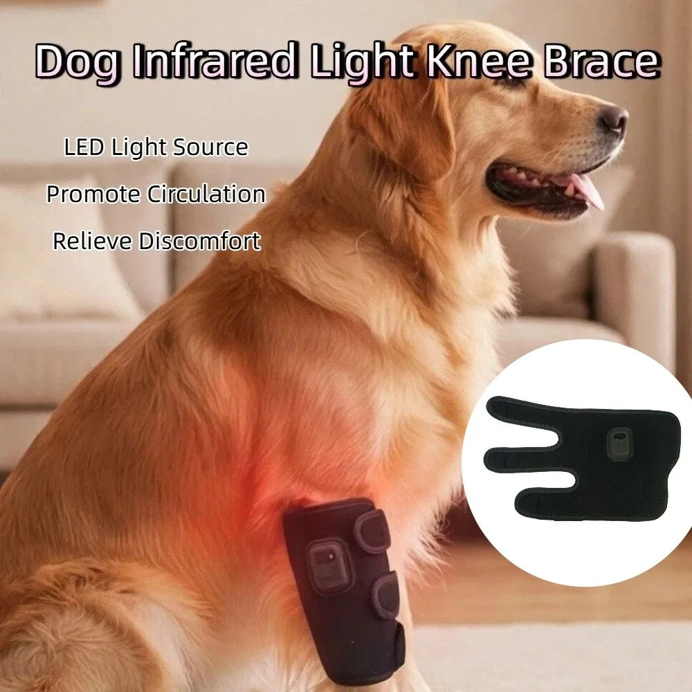 Automatic Timing Pet Red Light Recovery Device Promote Circulation Relieve Discomfort Dog Infrared Light Knee Brace Comfortable